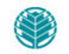 Atrium Health